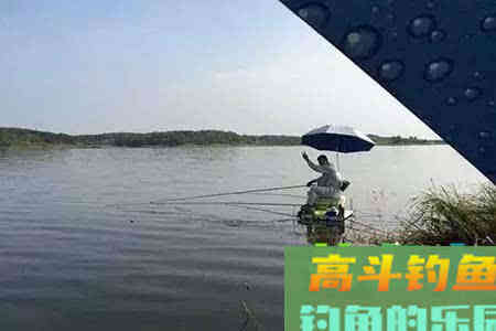 野钓鲫鱼频繁脱钩，和带不带倒刺无关，是几种原因