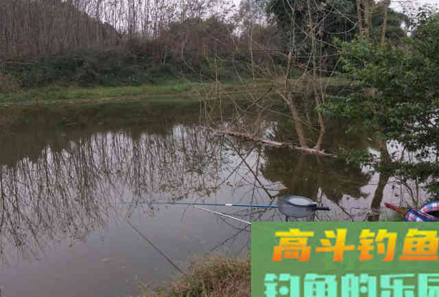 秋冬季节交替，正适合野外钓大鲫