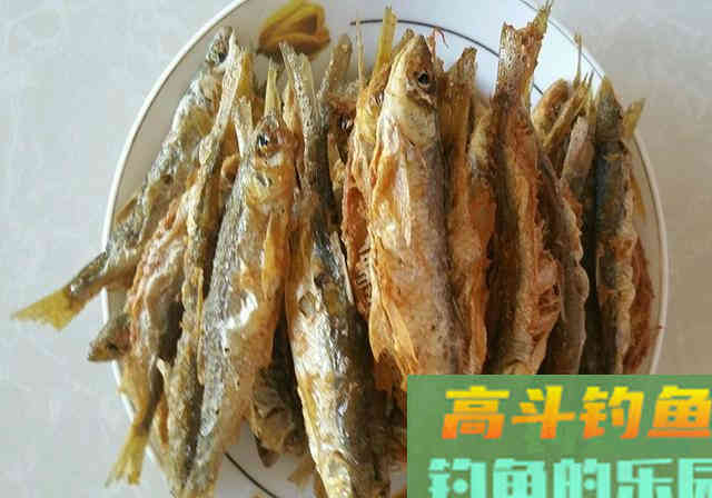此鱼被钓友嫌弃，殊不知买一斤要35元