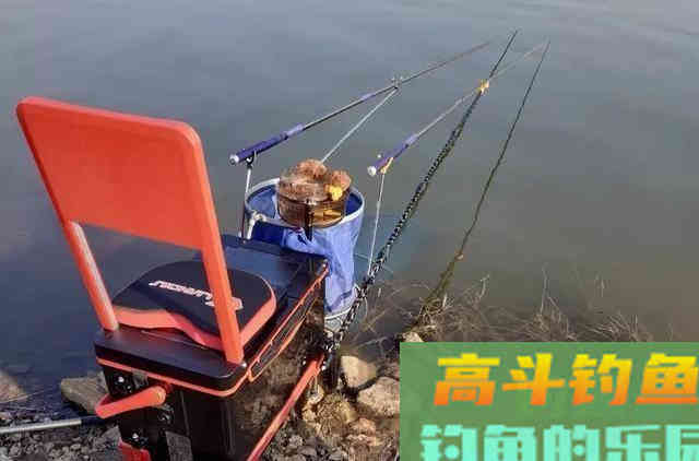 根据青鱼新鱼特点,分析鱼情合理选择正确钓法 根据青鱼新鱼特点,分析鱼情合理选择正确钓法
