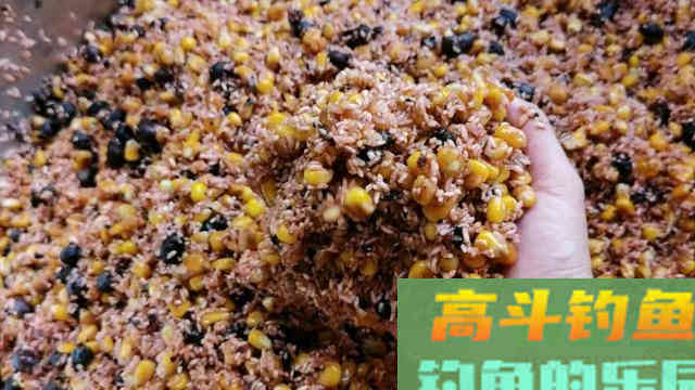 冬钓鲤鱼,这样选钓点,开制窝料、饵料,试试看 冬钓鲤鱼,这样选钓点,开制窝料、饵料,试试看