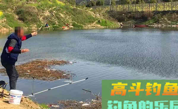 深秋初冬钓鲫鱼,浮漂的选用的3个原则,让漂相更清晰 深秋初冬钓鲫鱼,浮漂的选用的3个原则,让漂相更清晰