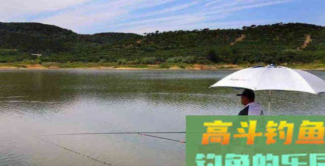 草鱼为何难钓?分析原因从它的生活习性入手 草鱼为何难钓?分析原因从它的生活习性入手
