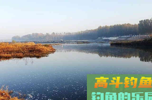 喜欢钓鲫鱼的看过来，这些因素会导致鲫鱼上浮