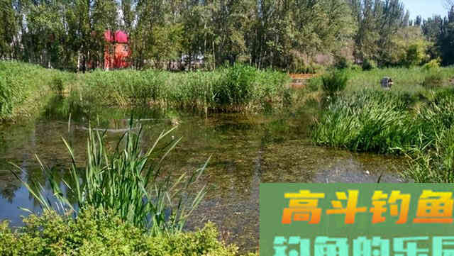 我不说你不会的3种钓黑鱼方法,我推荐第2种 我不说你不会的3种钓黑鱼方法,我推荐第2种