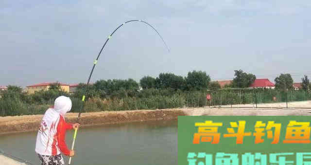 黑坑钓大青鱼六个步骤,是关键6点细节要注意 黑坑钓大青鱼六个步骤,是关键6点细节要注意