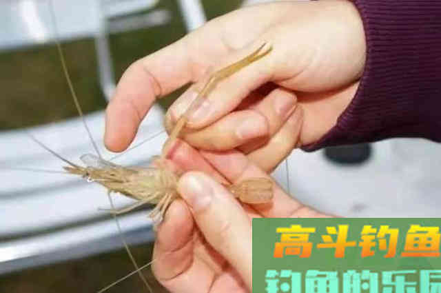 气温不高,翘嘴就不好钓?高手才不会告诉你这些核心秘诀 气温不高,翘嘴就不好钓?高手才不会告诉你这些核心秘诀