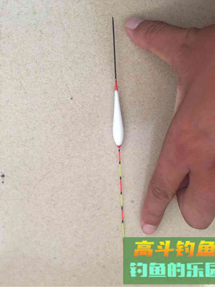 谈谈最近钓白条的心得，告诉你如何钓白条