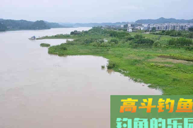 只要水面不结冰，冬天的鲤鱼，多半藏在这些位置