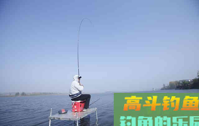 六个钓鲤鱼的野路子,专攻库钓上鱼率提升80% 六个钓鲤鱼的野路子,专攻库钓上鱼率提升80%