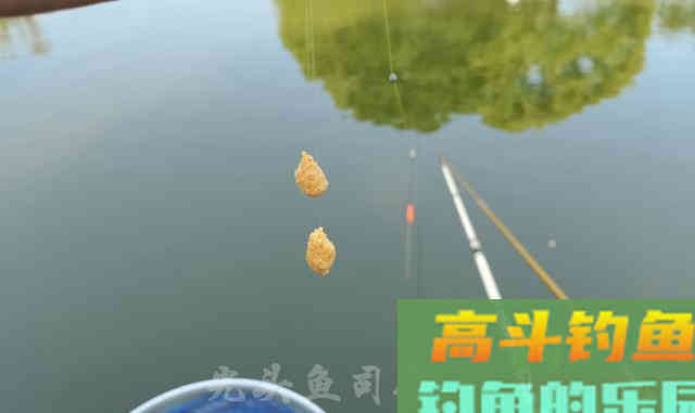 为何春季鲫鱼又大又多，夏季又少又小？钓大板鲫并不难
