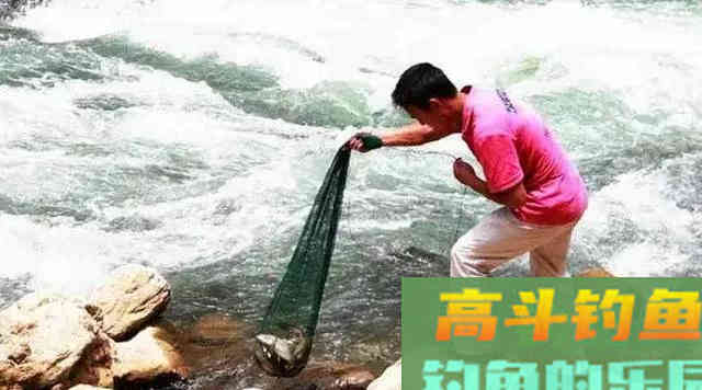 猪嘴鱼何时能重归而来 猪嘴鱼何时能重归而来