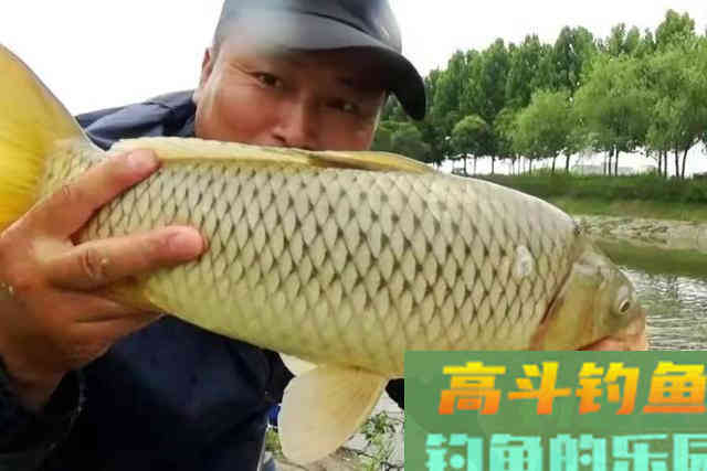实在憋不住了,只怪这套诱钓鲤鱼的方法太实用 实在憋不住了,只怪这套诱钓鲤鱼的方法太实用
