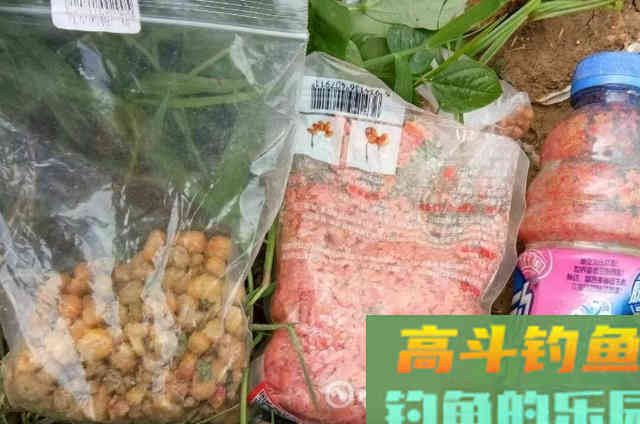 到了秋天鳊鱼才不好钓？钓友要牢牢记住的技巧