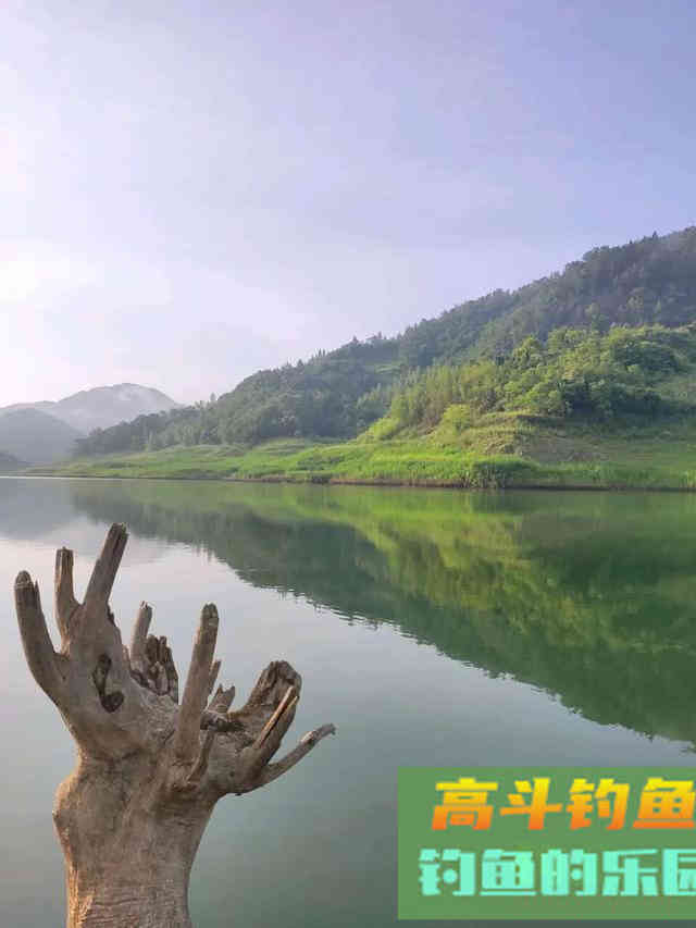 鲢鳙垂钓，钓底与钓浮根据水域季节选择的技巧