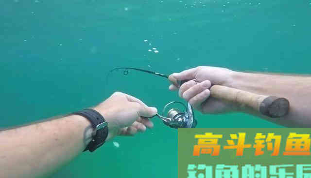 夏季钓黑鱼，分析黑鱼的生活习性选择合适钓法