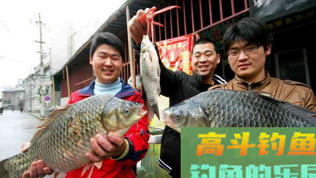 春季野钓大板鲫,远离这六大误区 春季野钓大板鲫,远离这六大误区