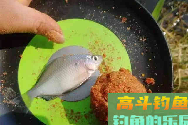 天一热，大鲫鱼只要按我说的钓
