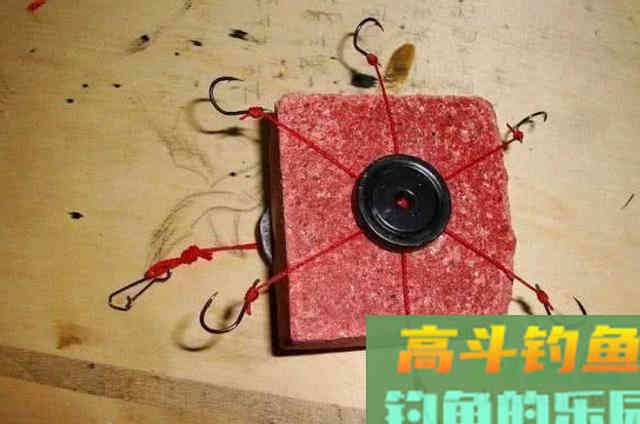 夏季户外野钓鲤鱼的技巧和方法分享 夏季户外野钓鲤鱼的技巧和方法分享