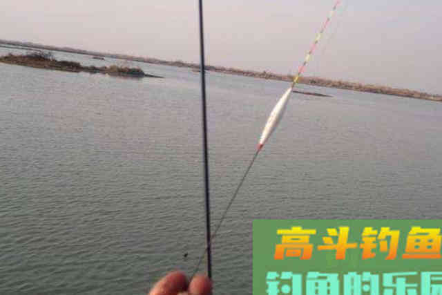 老钓友分享钓鲤鱼技巧