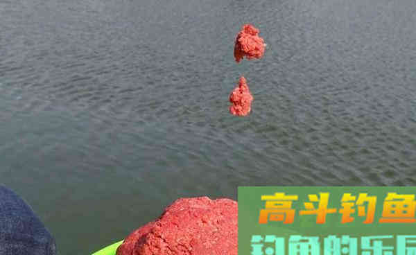 冬天手竿钓鲫鱼的4个基本技巧