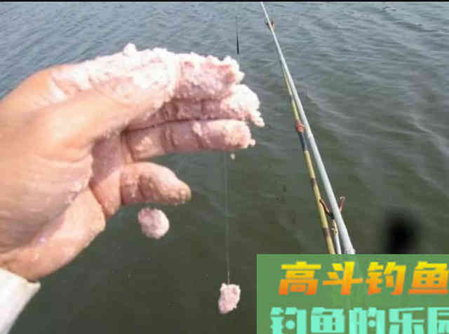 手竿钓鲢鳙：为何伊豆完胜伊势尼