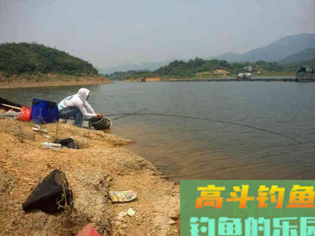 嘴巴小尾巴黄，3两重的冲劲很大，这鱼该如何垂钓