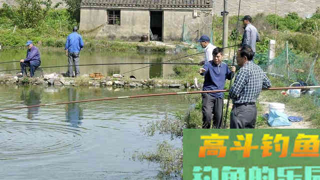 春季野钓大板鲫,远离这六大误区 春季野钓大板鲫,远离这六大误区