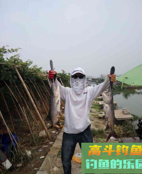 鸭嘴鱼的介绍，与鸭嘴鱼的垂钓方法技巧