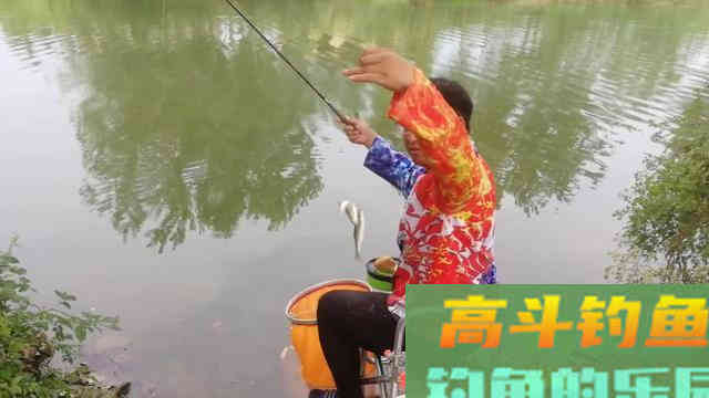 让钓鱼人又爱又恨白条,详解白条钓法及规避方法 让钓鱼人又爱又恨白条,详解白条钓法及规避方法