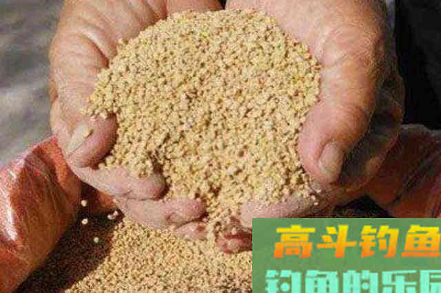 一到初秋，我只服这鳊鱼钓法
