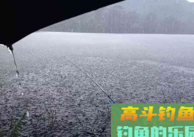初冬下雨天,到底能不能钓到鲫鱼 初冬下雨天,到底能不能钓到鲫鱼