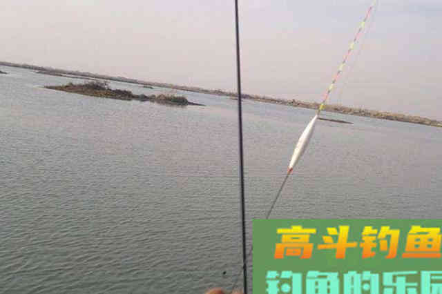 钓了二十年鲢鳙，秋天一用这特色钓法就过瘾