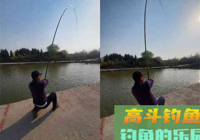 根据青鱼新鱼特点,分析鱼情合理选择正确钓法 根据青鱼新鱼特点,分析鱼情合理选择正确钓法