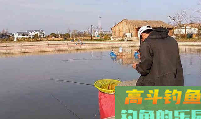 垂钓鲫鱼和鲤鱼，在钓法、钓饵等方面的差异