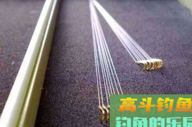 冬天的板鲫不上钩？记牢这5宜5不宜