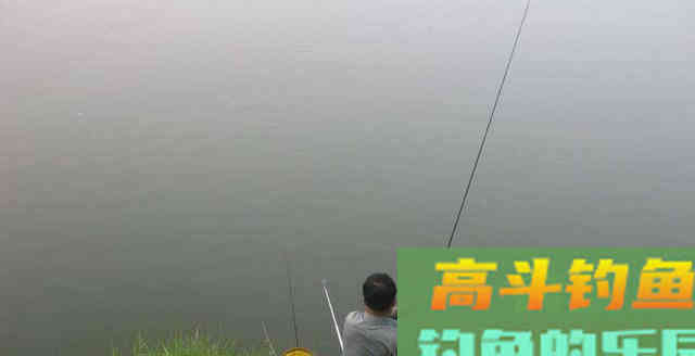 开春后,如何快速钓上大鲤鱼?只需3招,小白也行 开春后,如何快速钓上大鲤鱼?只需3招,小白也行