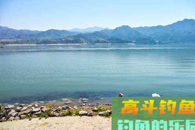 春季钓鲫鱼,传统钓功不可没,蚯蚓逗钓鲫鱼最理想 春季钓鲫鱼,传统钓功不可没,蚯蚓逗钓鲫鱼最理想