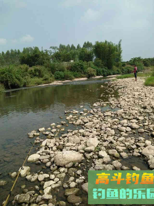 马口鱼怎么钓?比如蚂蟥钓法、苍蝇钓法、虾饵钓法等 马口鱼怎么钓?比如蚂蟥钓法、苍蝇钓法、虾饵钓法等