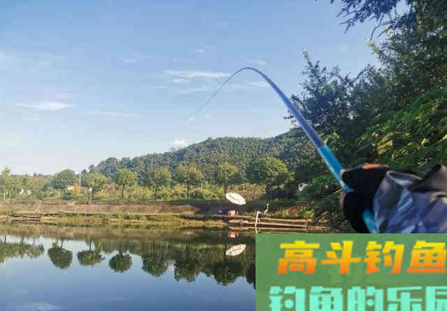 野生大草鱼,唯独这种传统钓法才好使 野生大草鱼,唯独这种传统钓法才好使