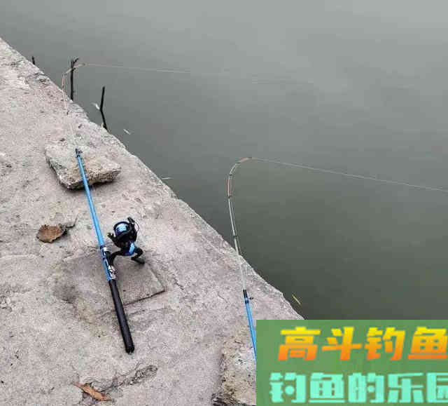 冬钓鲫鱼的偷懒玩法,筏竿配上串钩 冬钓鲫鱼的偷懒玩法,筏竿配上串钩