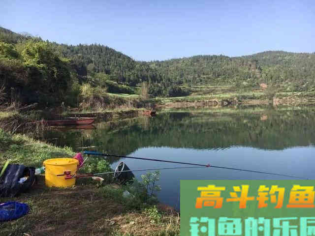 活学活用这几个技巧,冬天用谷麦钓鲤鱼 活学活用这几个技巧,冬天用谷麦钓鲤鱼