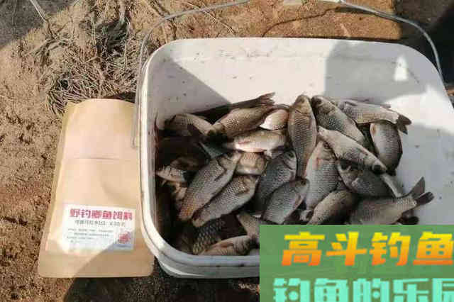 天一热，大鲫鱼只要按我说的钓