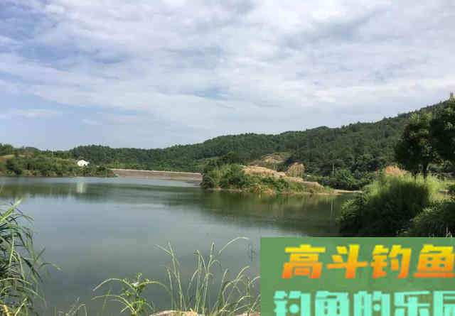 水库钓鲫鱼首选这三种钓位,尤其是初冬 水库钓鲫鱼首选这三种钓位,尤其是初冬