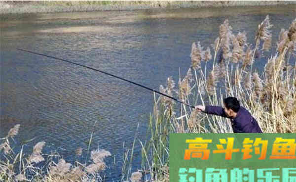 深秋初冬手竿钓鲫鱼,这些常用老套路,助你连竿上鱼 深秋初冬手竿钓鲫鱼,这些常用老套路,助你连竿上鱼