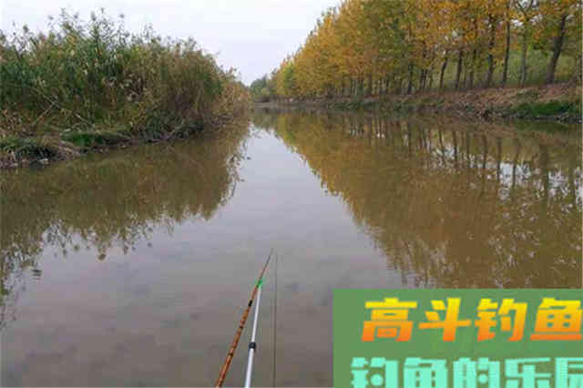 深秋初冬钓鲫鱼,这些地方已经没有鱼了 深秋初冬钓鲫鱼,这些地方已经没有鱼了