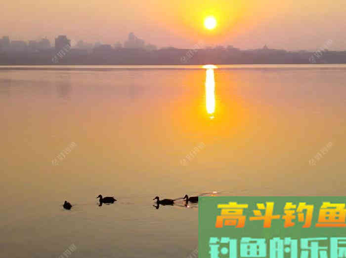 冬钓鲫鱼气温、温差与风力的影响,和鲫鱼的种种表现 冬钓鲫鱼气温、温差与风力的影响,和鲫鱼的种种表现