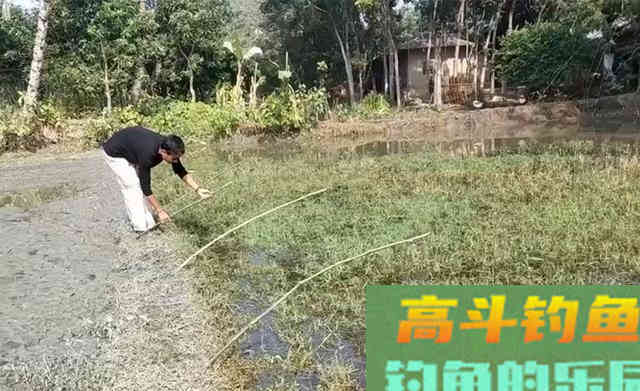 秋季黑鱼的几种民间钓法 秋季黑鱼的几种民间钓法