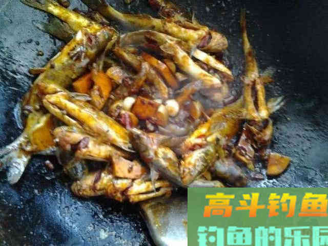 浑水钓黄颡的方法，特有效