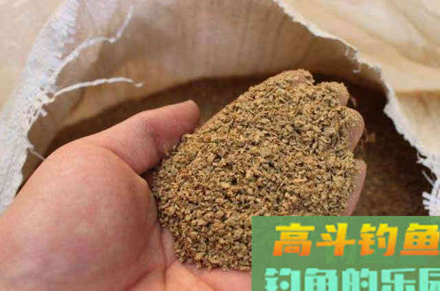 刚立秋，我就用特色鲫鱼钓法